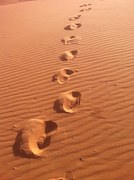 steps in the desert